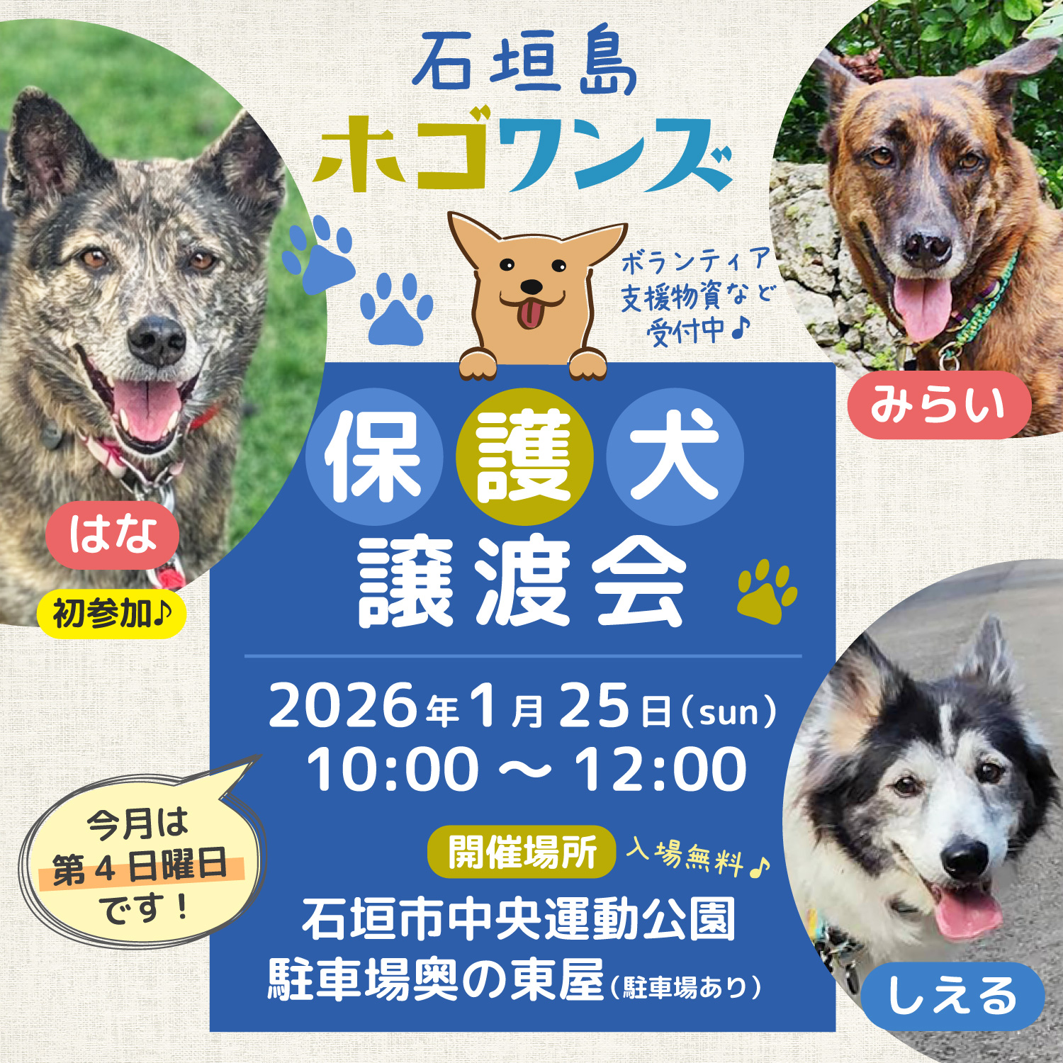 第6回 石垣島ホゴワンズ 保護犬譲渡会