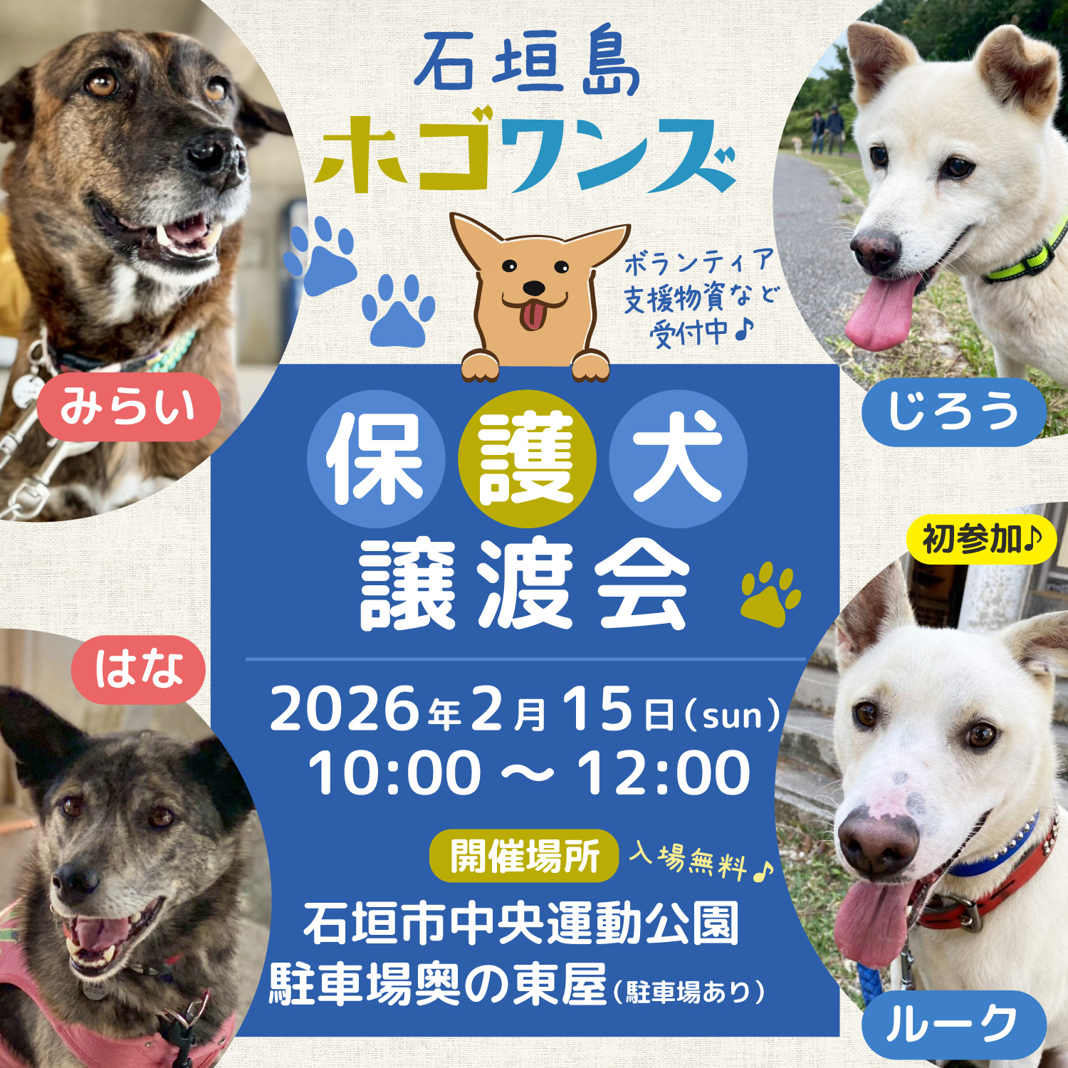 第9回 石垣島ホゴワンズ 保護犬譲渡会